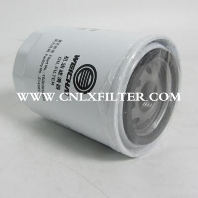 Oil Filter 1000395855,Use for Weichai